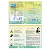 전도지-2번 (A6-2)