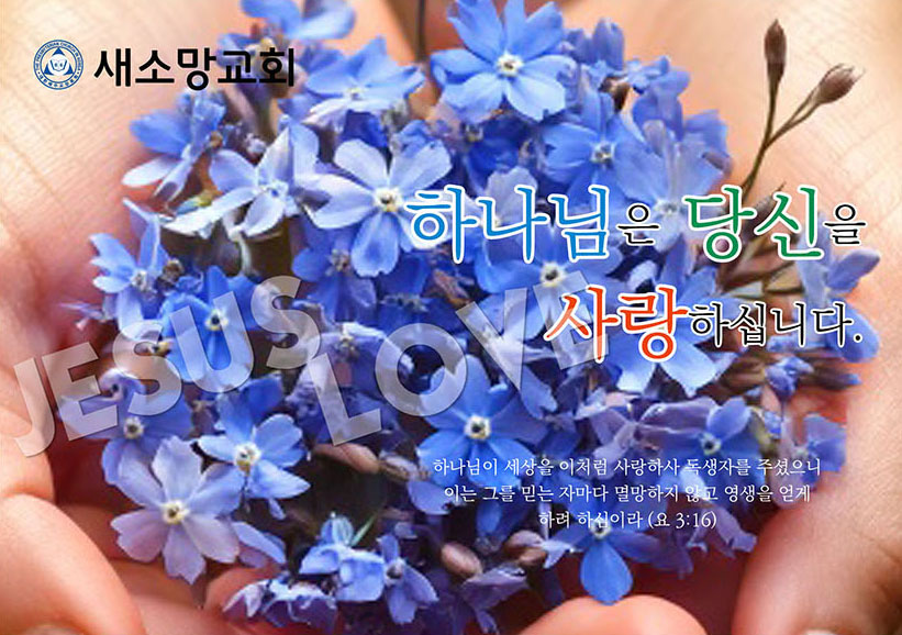 엽서 전도지(P-C-27)